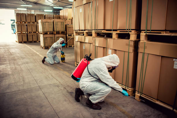 Best Ant Control Services  in Clinton, WI