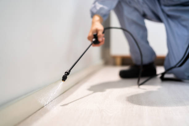 Best Flea Control Services  in Clinton, WI