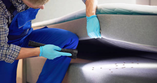 Best Best Pest Control Companies  in Clinton, WI