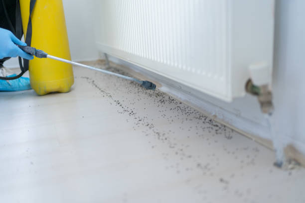 Best Pest Removal Services  in Clinton, WI