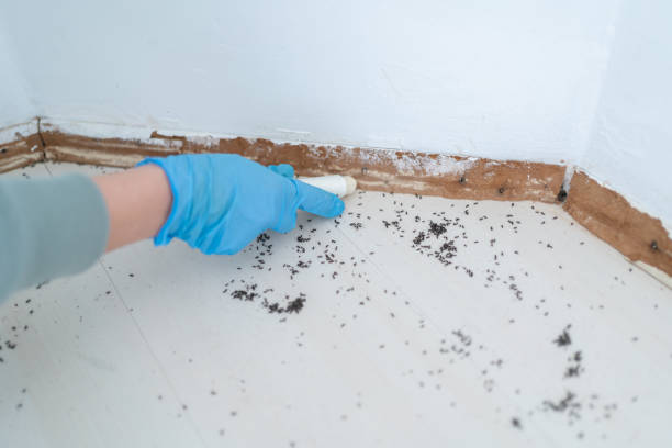 Best Exterminator Services  in Clinton, WI